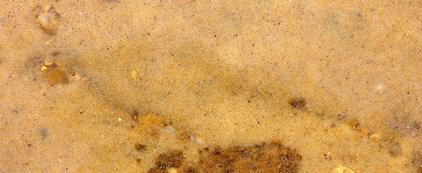 Sand