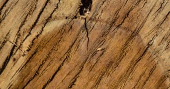 Wood Grain Background