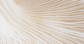 Revenue cycle 101: prior authorization