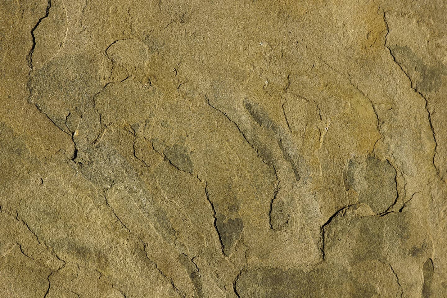 stone background