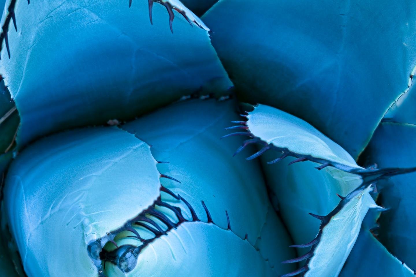 Steps for revenue cycle optimization success: 3 tips from Proliance Surgeons’ story