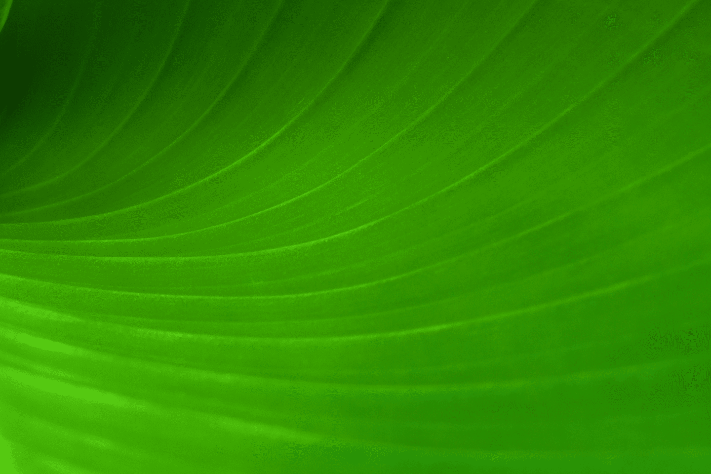 Vendor consolidation best practices